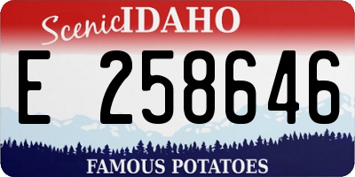 ID license plate E258646