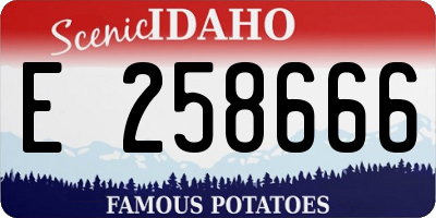 ID license plate E258666