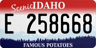 ID license plate E258668