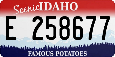 ID license plate E258677