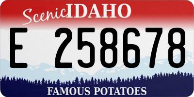 ID license plate E258678