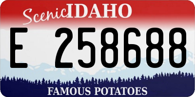 ID license plate E258688