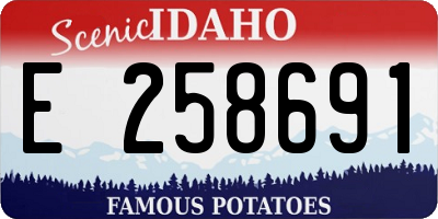 ID license plate E258691
