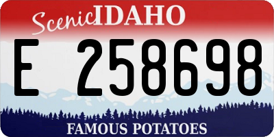 ID license plate E258698