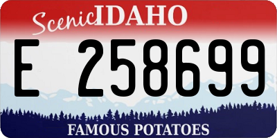 ID license plate E258699