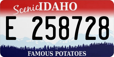 ID license plate E258728