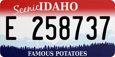 ID license plate E258737