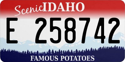 ID license plate E258742
