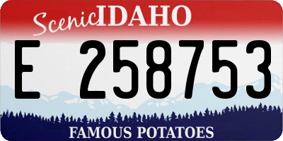 ID license plate E258753