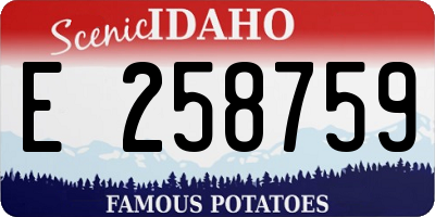 ID license plate E258759