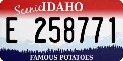 ID license plate E258771