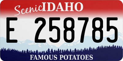 ID license plate E258785