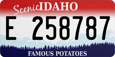 ID license plate E258787