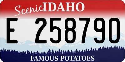 ID license plate E258790