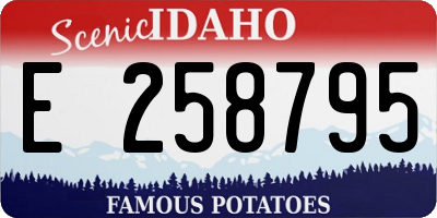 ID license plate E258795