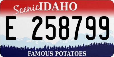 ID license plate E258799