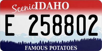 ID license plate E258802