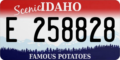 ID license plate E258828