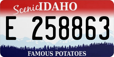 ID license plate E258863