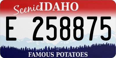 ID license plate E258875