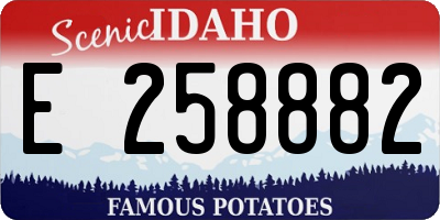 ID license plate E258882