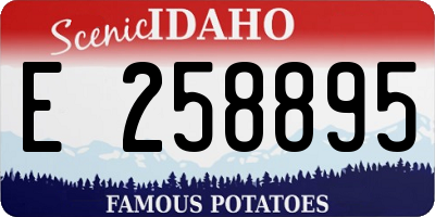 ID license plate E258895