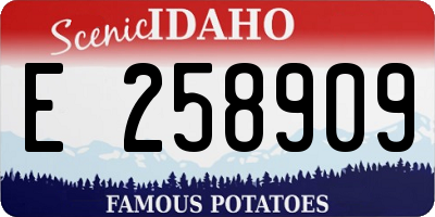 ID license plate E258909