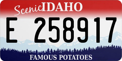 ID license plate E258917
