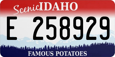 ID license plate E258929