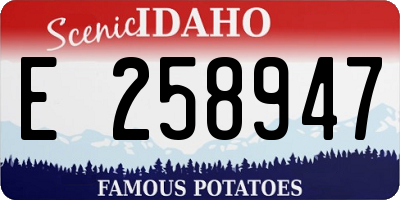 ID license plate E258947