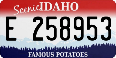 ID license plate E258953