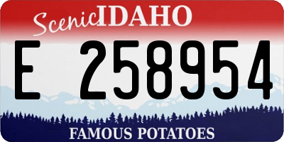 ID license plate E258954