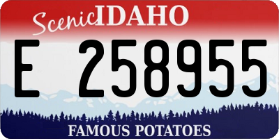 ID license plate E258955