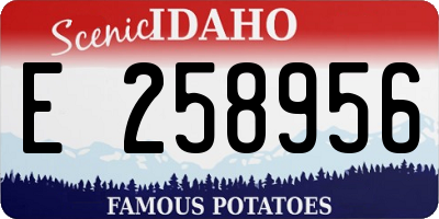 ID license plate E258956
