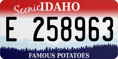 ID license plate E258963