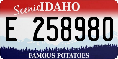 ID license plate E258980