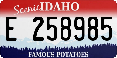 ID license plate E258985