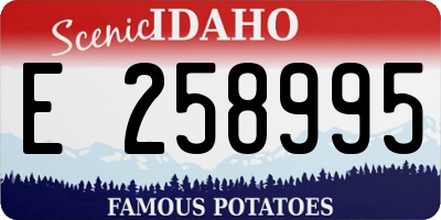 ID license plate E258995
