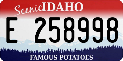 ID license plate E258998