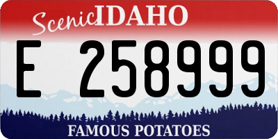 ID license plate E258999