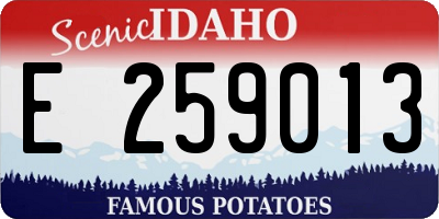 ID license plate E259013