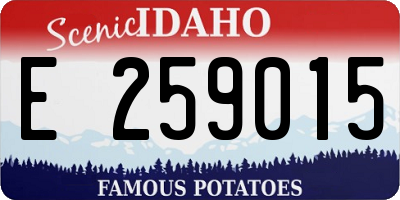 ID license plate E259015