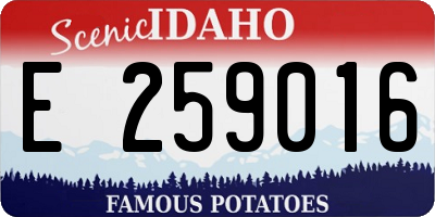 ID license plate E259016
