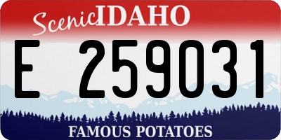ID license plate E259031
