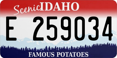 ID license plate E259034