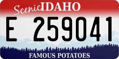 ID license plate E259041