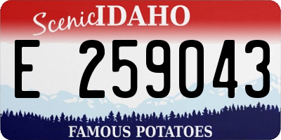 ID license plate E259043