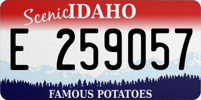 ID license plate E259057