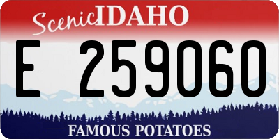 ID license plate E259060