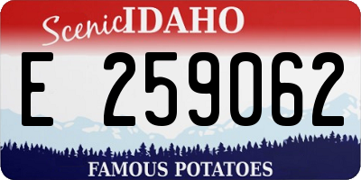 ID license plate E259062